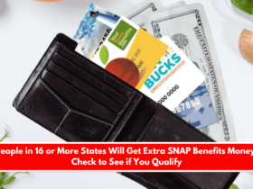 People in 16 or More States Will Get Extra SNAP Benefits Money Check to See if You Qualify