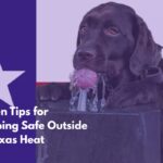 Seven Tips for Keeping Safe Outside in Texas Heat