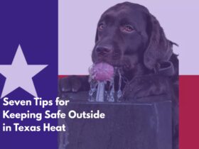 Seven Tips for Keeping Safe Outside in Texas Heat