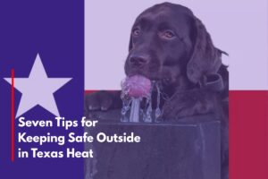 Seven Tips for Keeping Safe Outside in Texas Heat