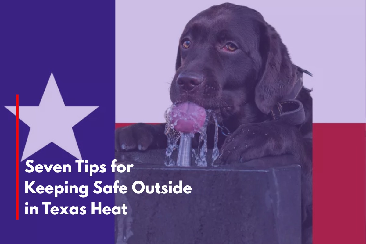 Seven Tips for Keeping Safe Outside in Texas Heat