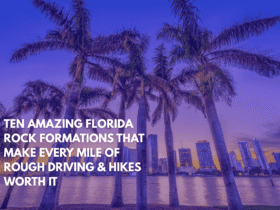 Ten Amazing Florida Rock Formations That Make Every Mile of Rough Driving & Hikes Worth It