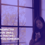 Ten Unexpected Illinoisn Small Things That Will Make You Homesick
