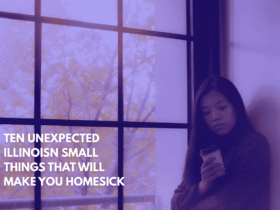 Ten Unexpected Illinoisn Small Things That Will Make You Homesick