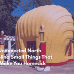 Ten Unexpected North Carolina Small Things That Will Make You Homesick