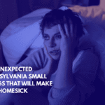 Ten Unexpected Pennsylvanian Small Things That Will Make You Homesick