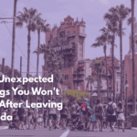 Ten Unexpected Things You Won't See After Leaving Florida