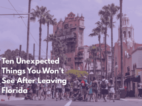 Ten Unexpected Things You Won't See After Leaving Florida