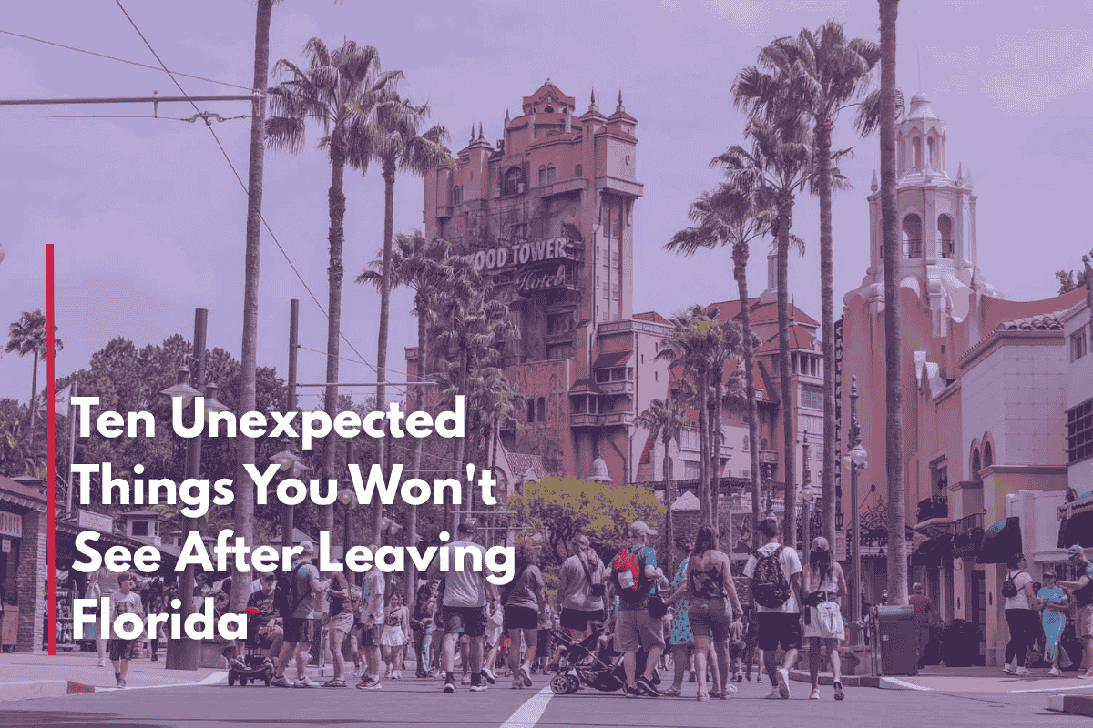 Ten Unexpected Things You Won't See After Leaving Florida
