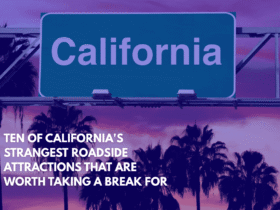 Ten of California's Strangest Roadside Attractions That Are Worth Taking a Break for