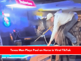 Texas Man Plays Pool on Horse in Viral TikTok