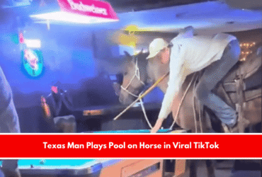 Texas Man Plays Pool on Horse in Viral TikTok