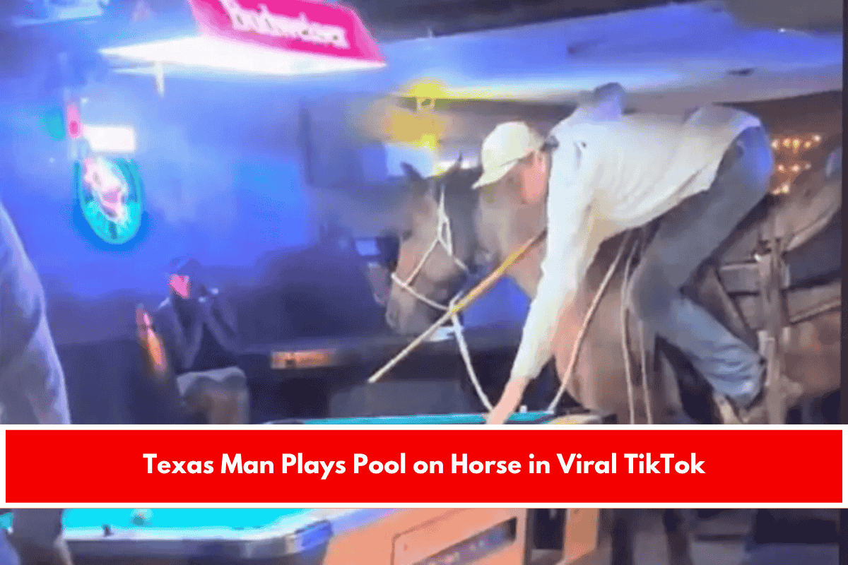 Texas Man Plays Pool on Horse in Viral TikTok