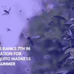 Texas Ranks 7th in the Nation for Mosquito Madness This Summer