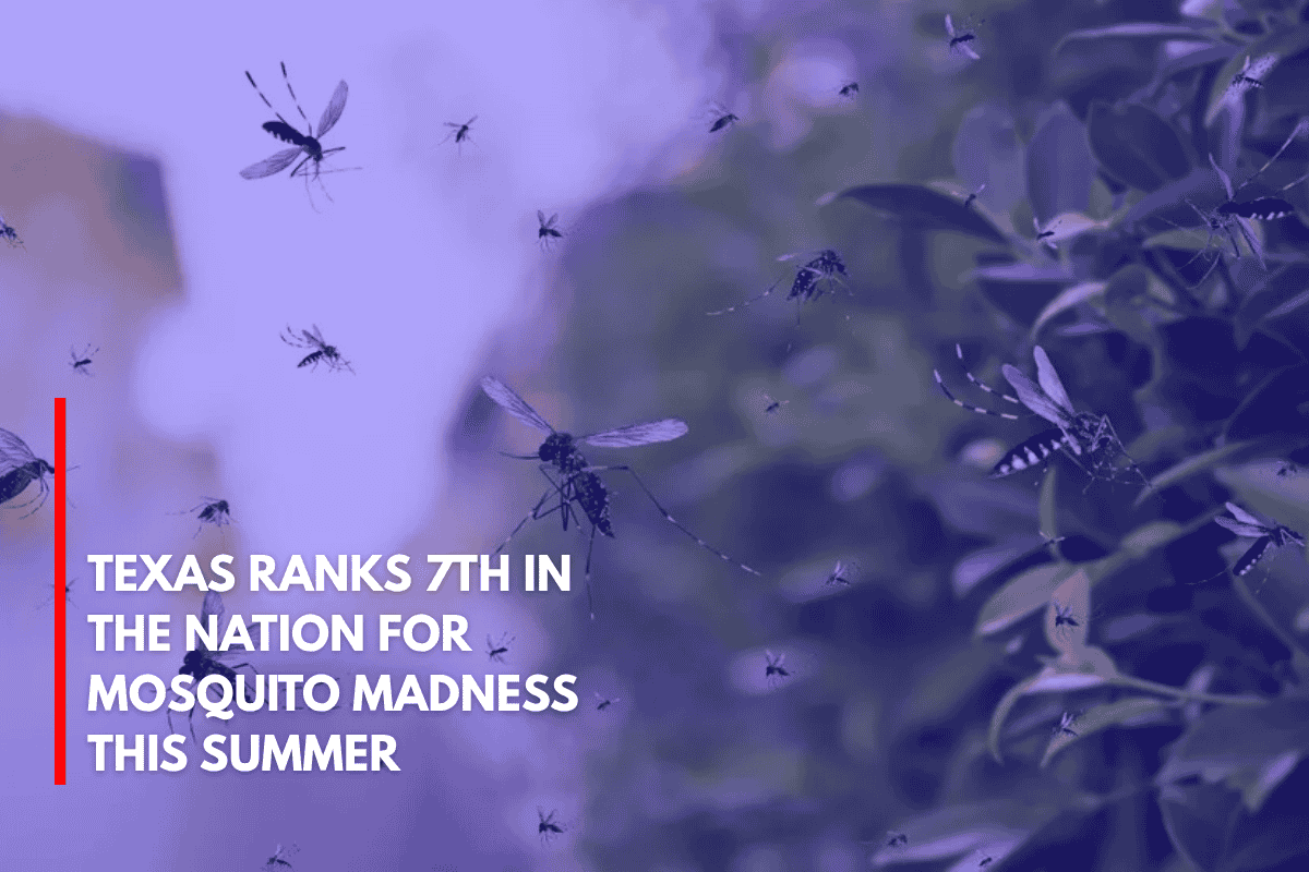 Texas Ranks 7th in the Nation for Mosquito Madness This Summer