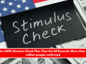 The $400 Stimulus Check Plan That Set All Records More than 8 million people confirmed