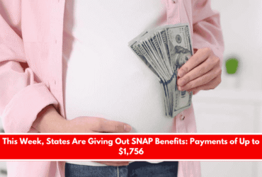 This Week, States Are Giving Out SNAP Benefits Payments of Up to $1,756