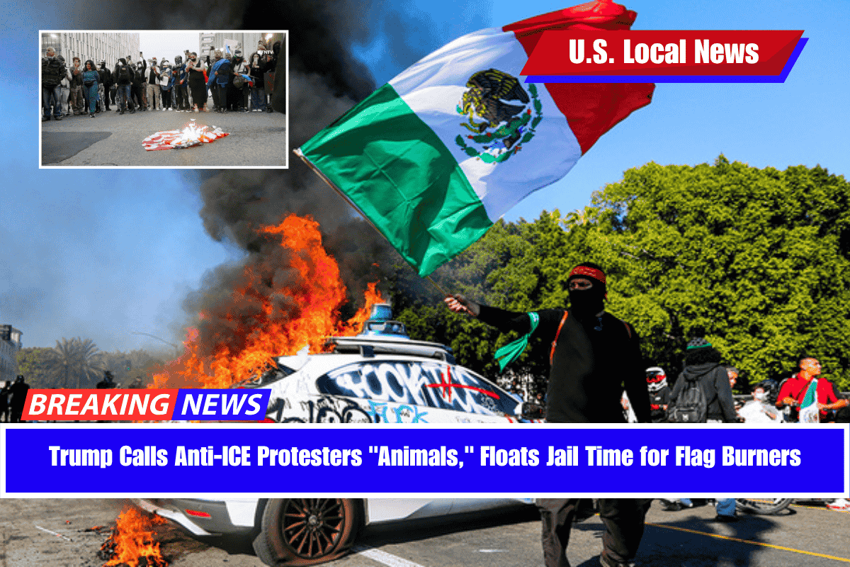 Trump Calls Anti-ICE Protesters Animals, Floats Jail Time for Flag Burners