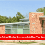 Waco Animal Shelter Overcrowded How You Can Help