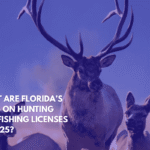 What Are Florida’s Laws on Hunting and Fishing Licenses in 2025