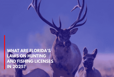 What Are Florida’s Laws on Hunting and Fishing Licenses in 2025