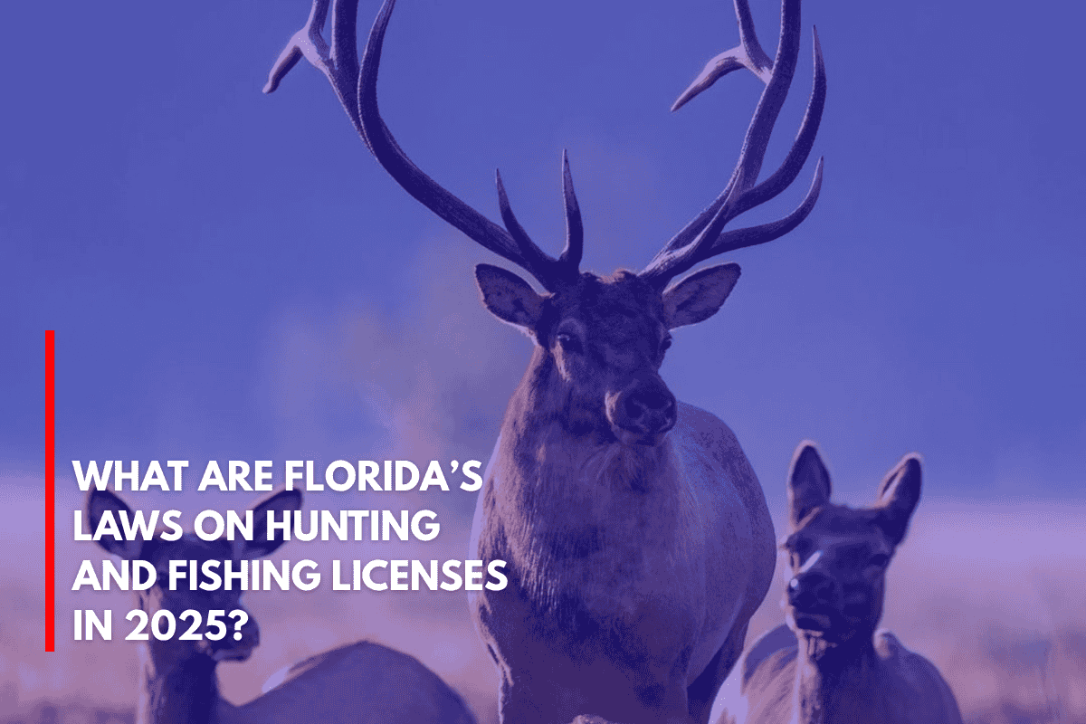 What Are Florida’s Laws on Hunting and Fishing Licenses in 2025