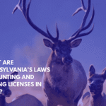 What Are Pennsylvania’s Laws on Hunting and Fishing Licenses in 2025