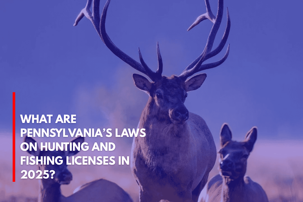 What Are Pennsylvania’s Laws on Hunting and Fishing Licenses in 2025