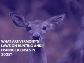 What Are Vermont’s Laws on Hunting and Fishing Licenses in 2025