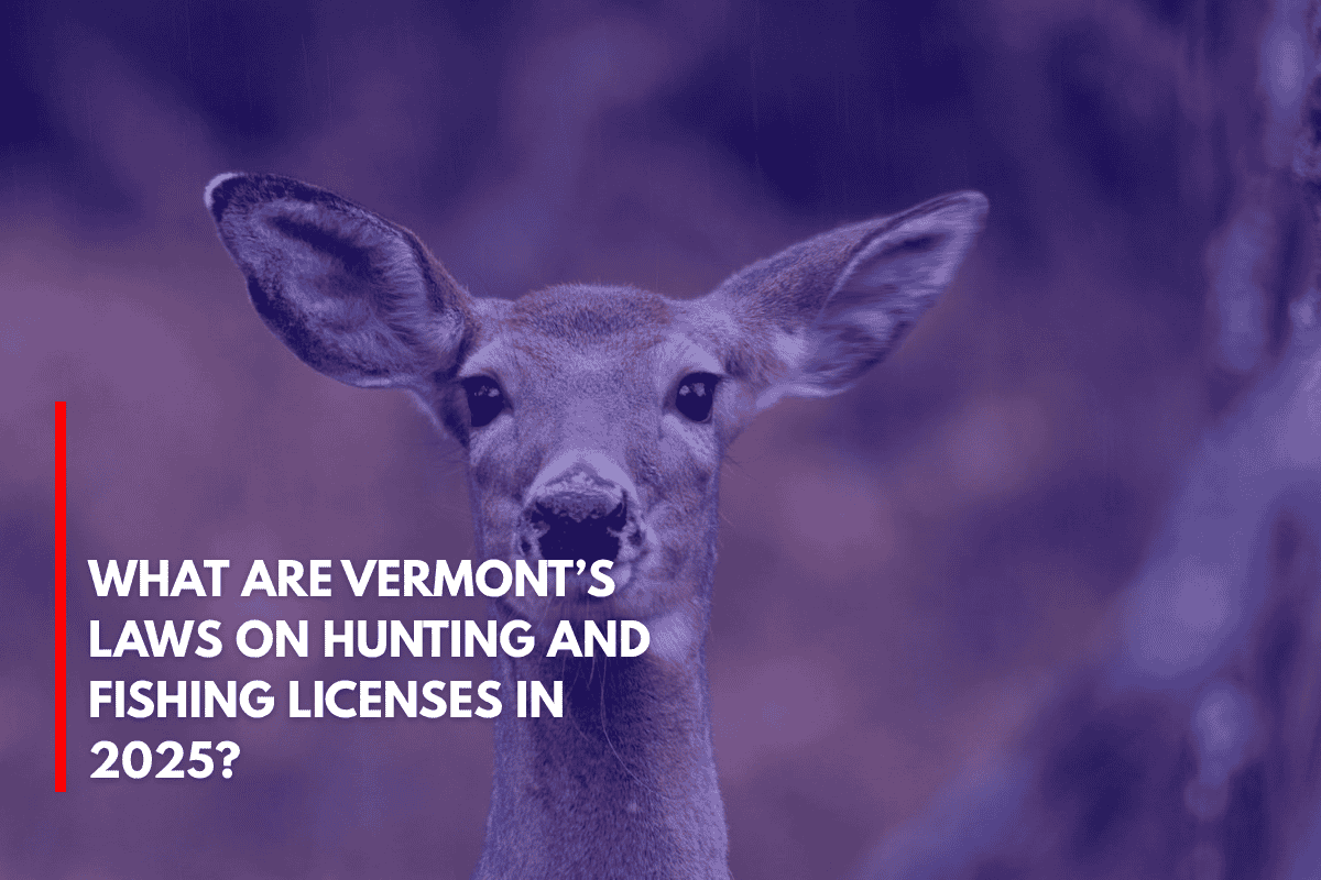 What Are Vermont’s Laws on Hunting and Fishing Licenses in 2025