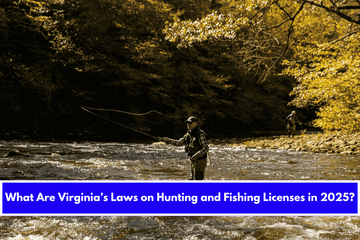 What Are Virginia’s Laws on Hunting and Fishing Licenses in 2025
