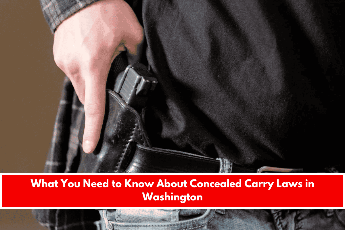 What You Need to Know About Concealed Carry Laws in Washington