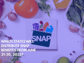Which States Will Distribute Snap Benefits From June 21-30, 2025