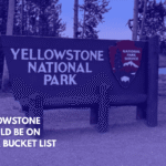 Why Yellowstone Should Be on Your Bucket List