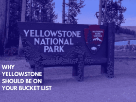 Why Yellowstone Should Be on Your Bucket List