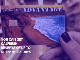 You Can Get CalFresh Benefits of Up to $1,756 in Six Days