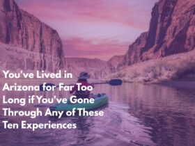 You've Lived in Arizona for Far Too Long if You've Gone Through Any of These Ten Experiences