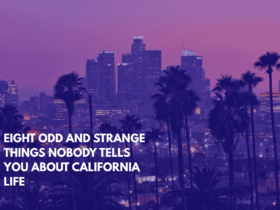 Eight Odd and Strange Things Nobody Tells You About California Life
