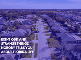 Eight Odd and Strange Things Nobody Tells You About Florida Life