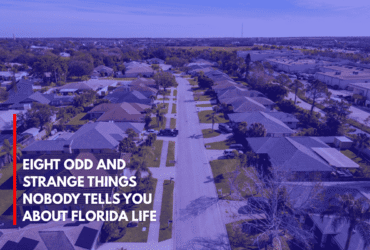 Eight Odd and Strange Things Nobody Tells You About Florida Life