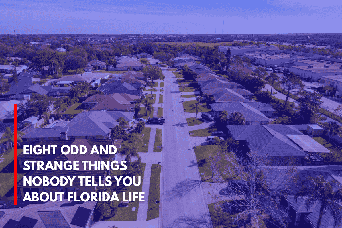 Eight Odd and Strange Things Nobody Tells You About Florida Life