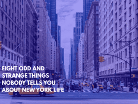 Eight Odd and Strange Things Nobody Tells You About New York Life