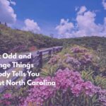 Eight Odd and Strange Things Nobody Tells You About North Carolina Life