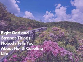 Eight Odd and Strange Things Nobody Tells You About North Carolina Life