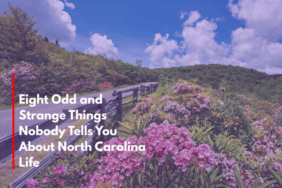 Eight Odd and Strange Things Nobody Tells You About North Carolina Life
