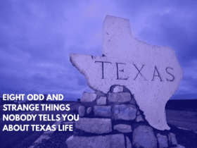 Eight Odd and Strange Things Nobody Tells You About Texas Life