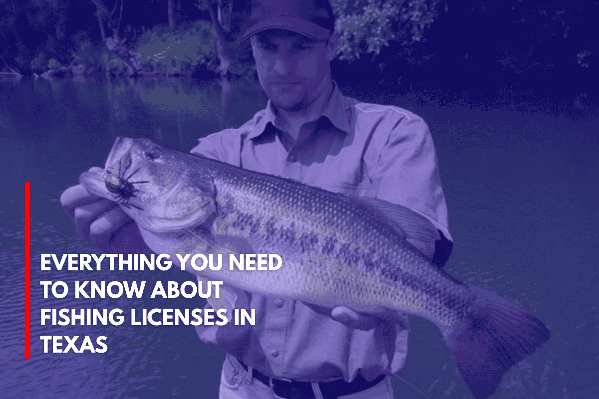 Everything You Need to Know About Fishing Licenses in Texas