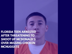 Florida Teen Arrested After Threatening to Shoot Up McDonald's Over Missing Chicken McNuggets