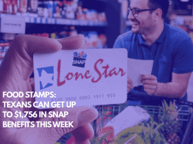 Food Stamps Texans Can Get Up to $1,756 in SNAP Benefits This Week