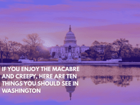 If You Enjoy the Macabre and Creepy, Here Are Ten Things You Should See in Washington